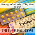 Kamagra Oral Jelly 100Mg How To Use new06